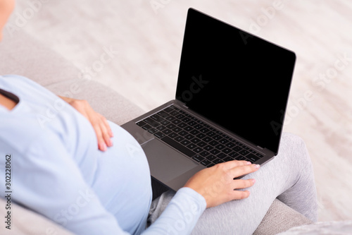 Unrecognizable Pregnant Lady Using Laptop Sitting On Sofa Indoor, Mockup