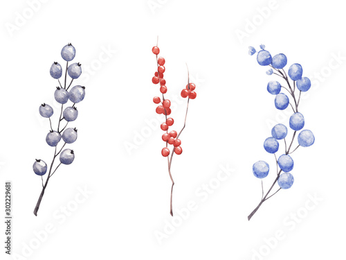 Hand drawn watercolor winter berries and branches set isolated on white background.