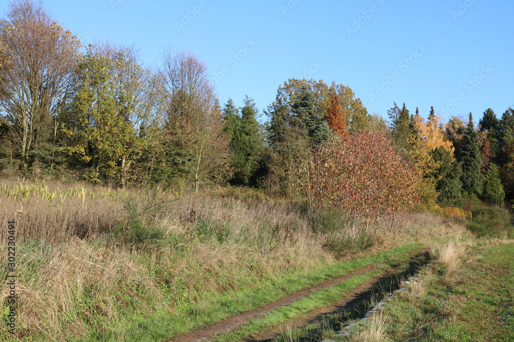 Naturlandschaft im Herbst 