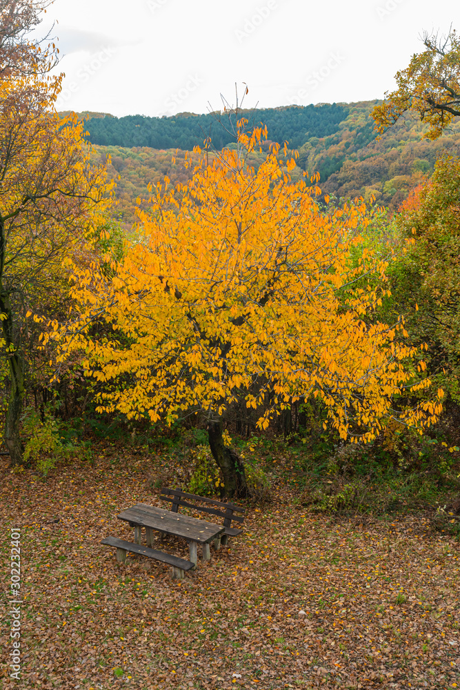 Panorama of Mount Fruska Gora in the fall