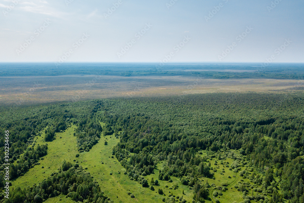 aerial photography landscape green forest and fields