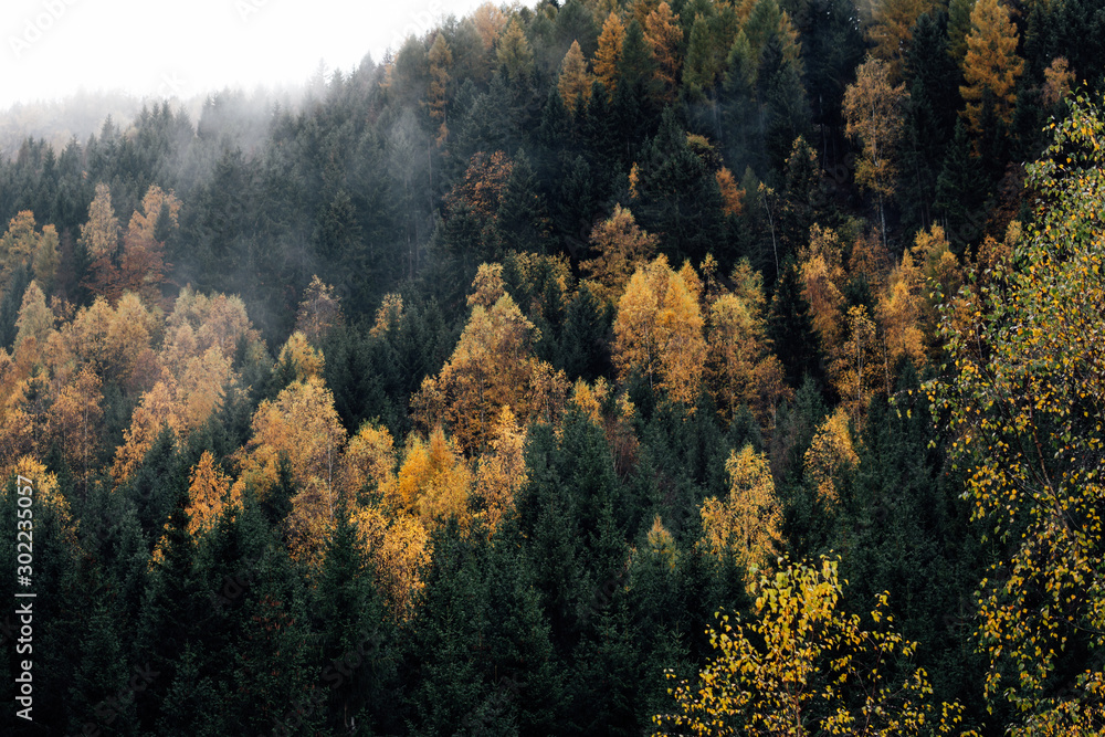 Misty mountains for the fall Season. Mystical mood in the national Park of the Harz mountains Misty mountains for the fall Season. Mystical mood in the national Park of the Harz mountains