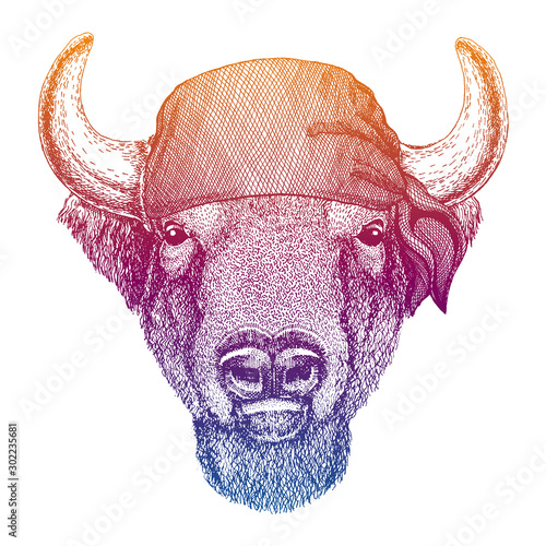 Buffalo, bison,ox, bull. Wild pirate or biker. Vector animal portrait. Sailor, motorcyclist. Print for children clothing, tee. Kids fashion.