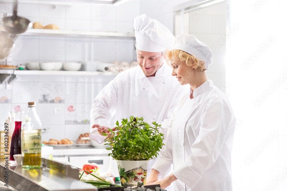 Smiling chefs looking at fresh mint pot in kitchen at restaurant