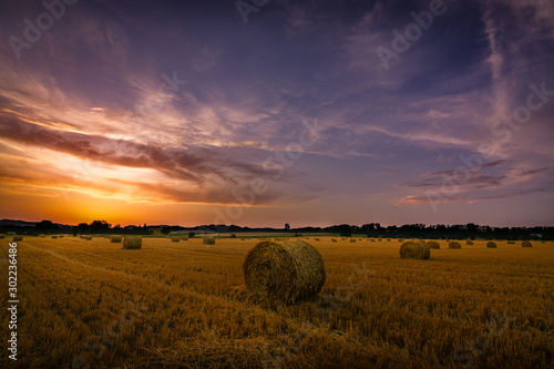 Obraz na plátně Coucher de soleil avec meules de foin, Tarn, Occitanie