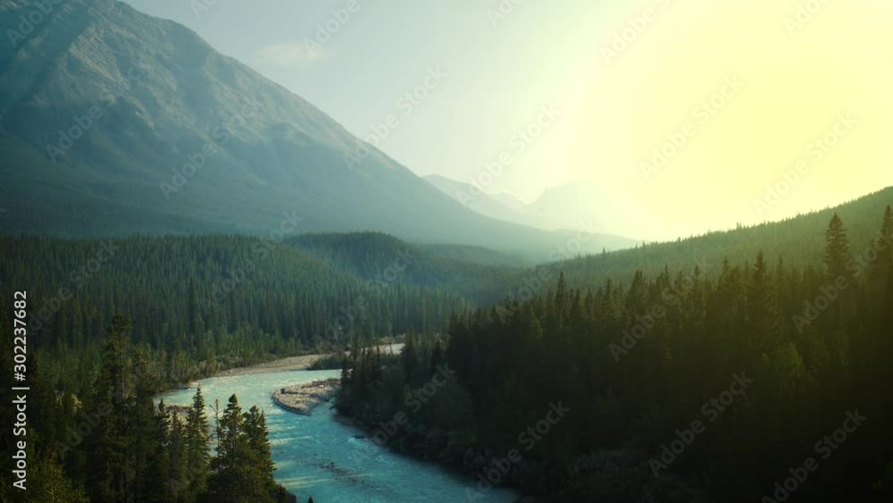 Forest and river in Yoho National Park in canada. Forest and river in Yoho National Park in canada.
