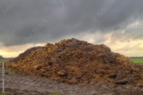 Organic farming: heap of manure mixed with straw on a field