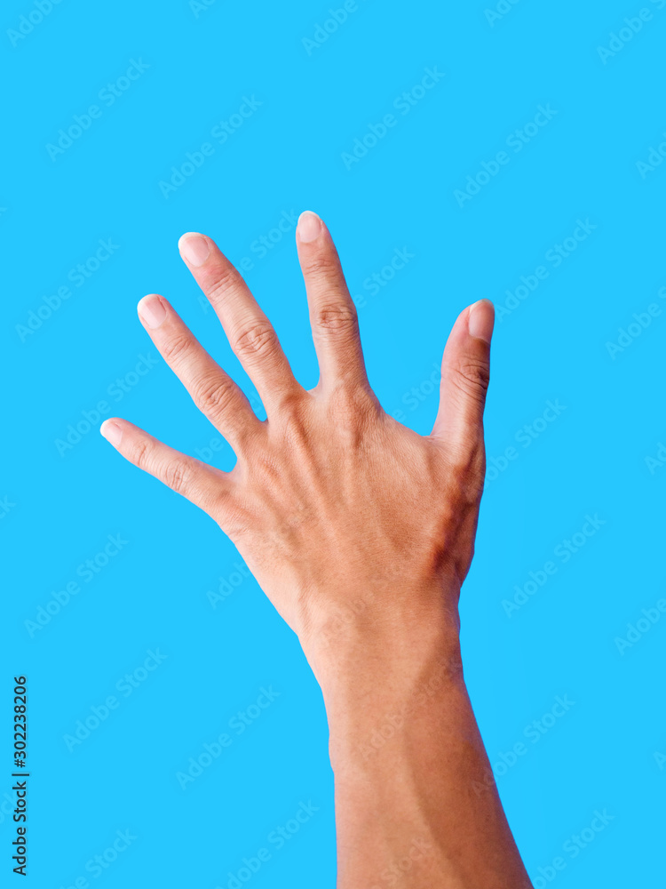 back hand isolated on blue background back hand isolated on blue background