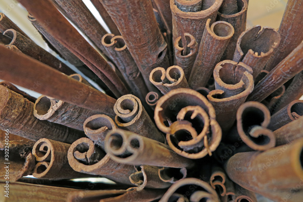 Zimtrinde - cinnamon bark Zimtrinde - cinnamon bark