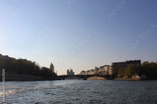 Fototapeta Naklejka Na Ścianę i Meble -  Notre Dame de Paris