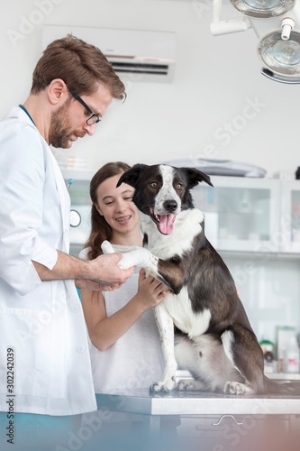 Veterinary clinic.