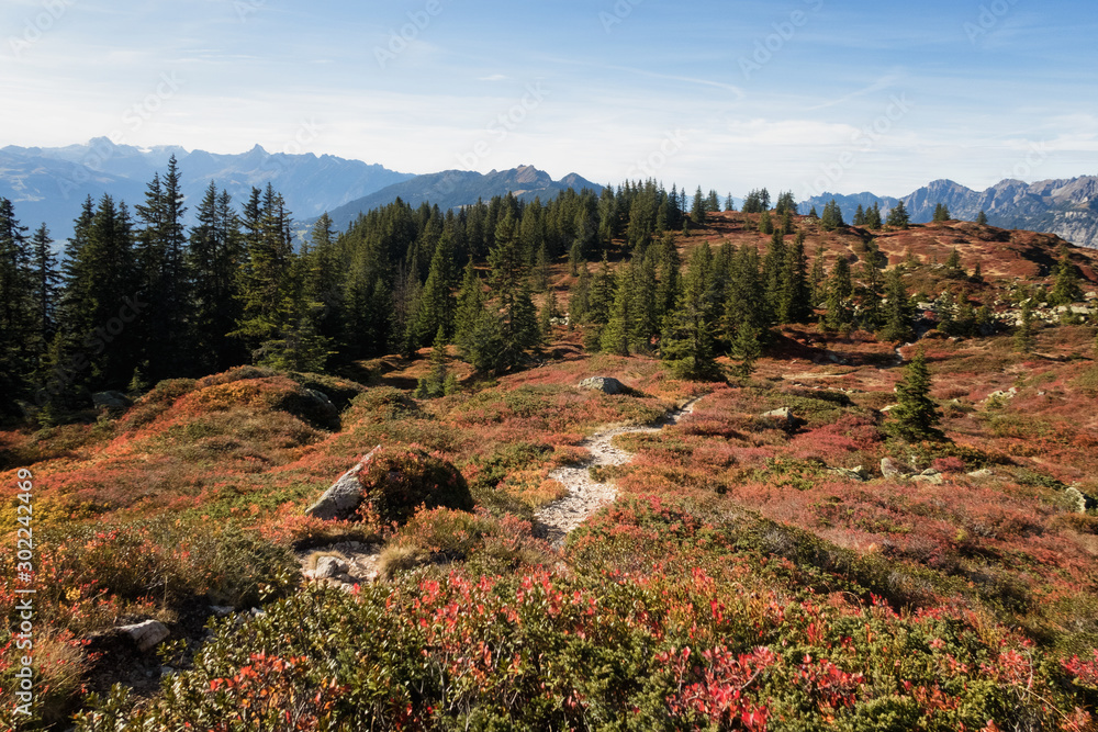 Φωτογραφία Herbstliche Farbenpracht in Alpen (Muttjöchle, Montafon, Vorarlberg, Österreich)