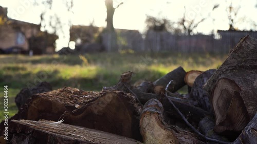 Wallpaper Mural Young man chopping firewood on a wooden stump, Torontodigital.ca