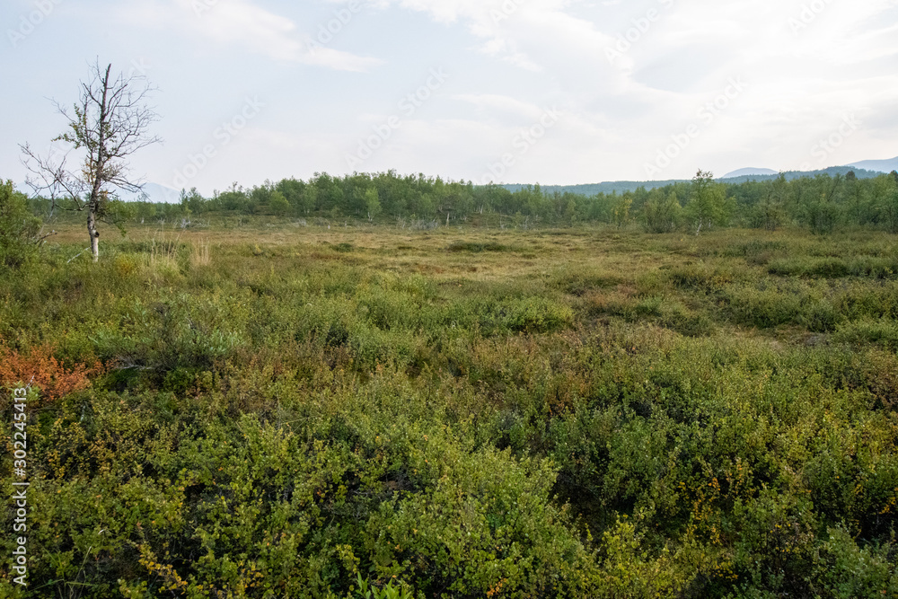 Sweden Abisko national park hiking Kings road