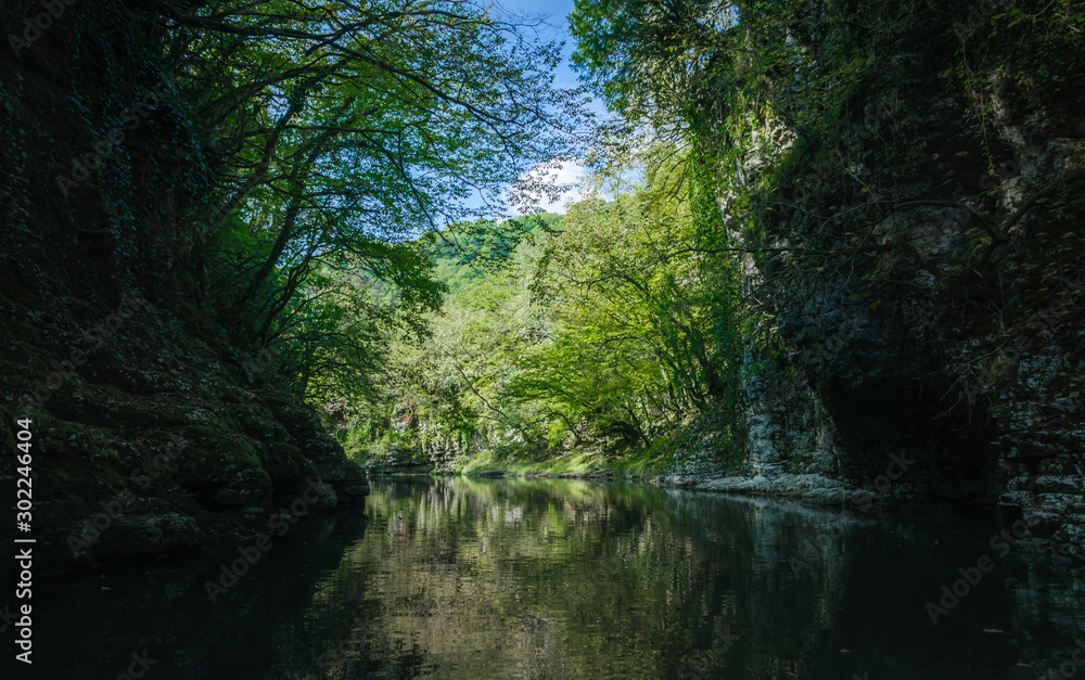 mountain river among rocks with green plants in Martville Canyon in Georgia