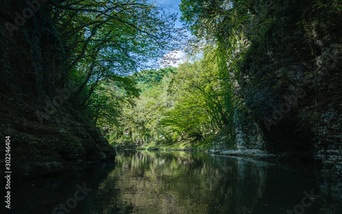 mountain river among rocks with green plants in Martville Canyon in Georgia