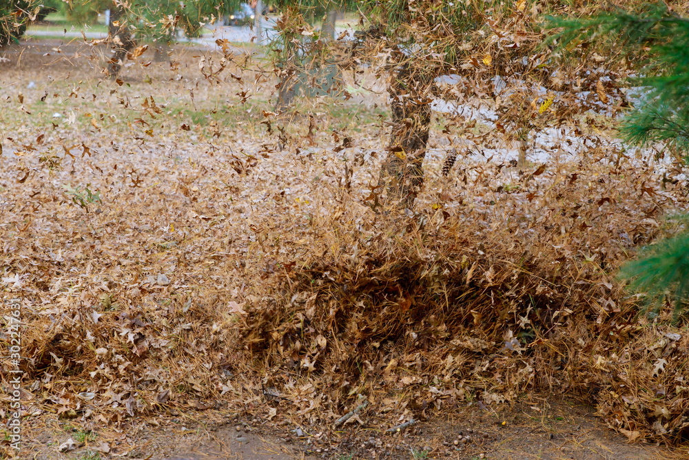 Working with leaf blower the leaves are being up and down on a sunny day Working with leaf blower the leaves are being up and down on a sunny day