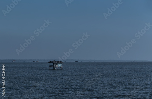 Shell farming in the sea