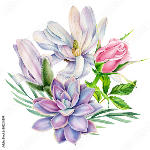 bouquet of flowers, magnolia,succulent, pink rose with green leaf, beautiful flower on a white background, watercolor illustration, botanical painting