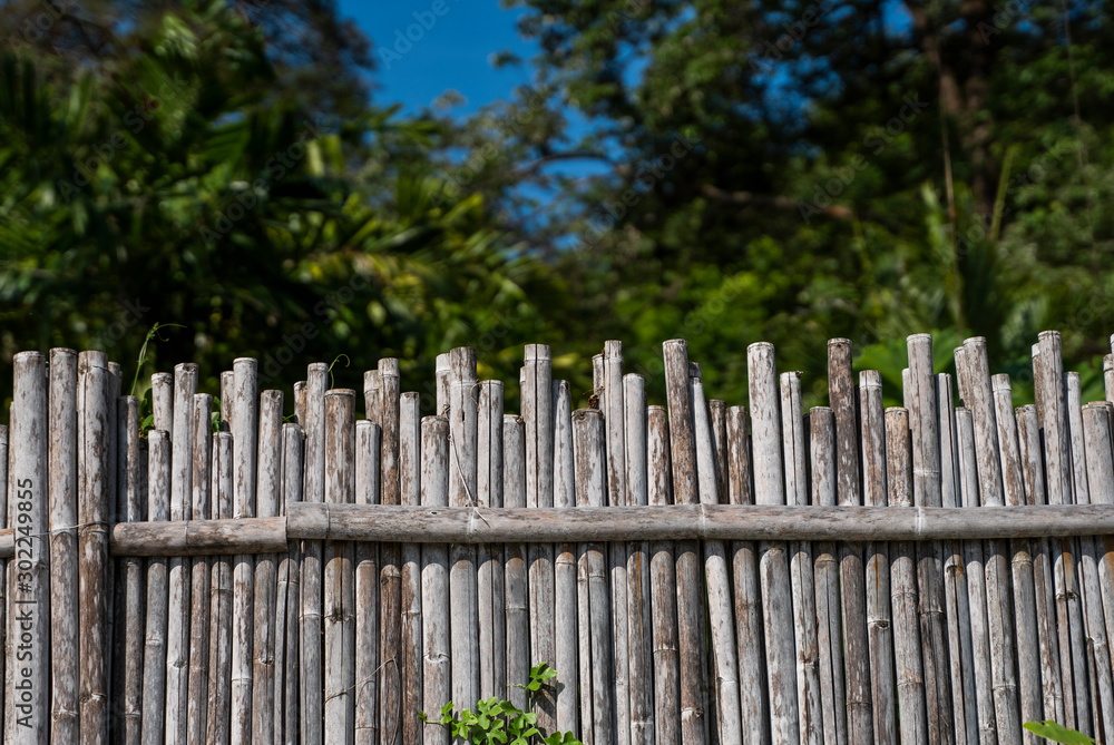 Dry bamboo fence with a green tropical trees on background. Eco natural background concept. Dry bamboo fence with a green tropical trees on background. Eco natural background concept.