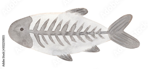 Photography Watercolor hand painted x ray fish