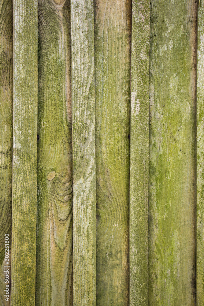 Fototapeta premium Old wooden boards with peeling paint. Old background. Textured planks of oak and pine. Bright colours. Natural aging of the material.