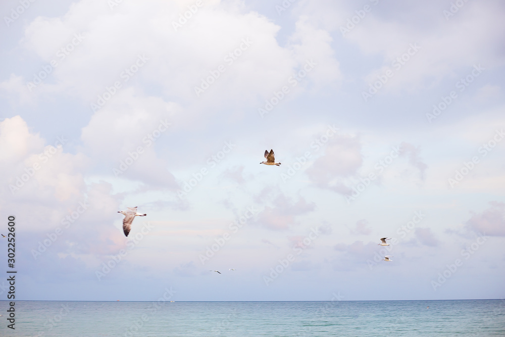 Beautiful summer sunset Bulgaria Nessebar