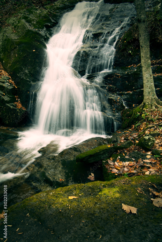 Obraz premium waterfall located in Nelson County Virginia