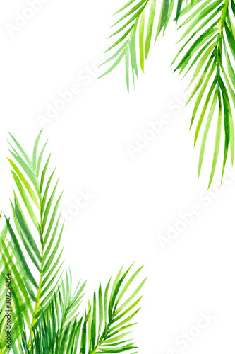 green palm leaves, watercolor illustration on an isolated white background, tropical plants