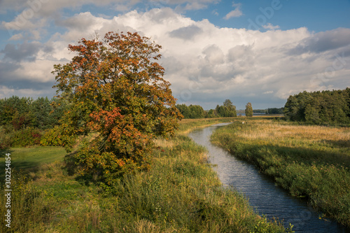 Fototapeta Naklejka Na Ścianę i Meble -  Sapina river at autumn near Wegorzewo, Masuria, Poland
