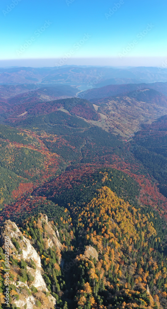 Aerial view of autumn forest trees