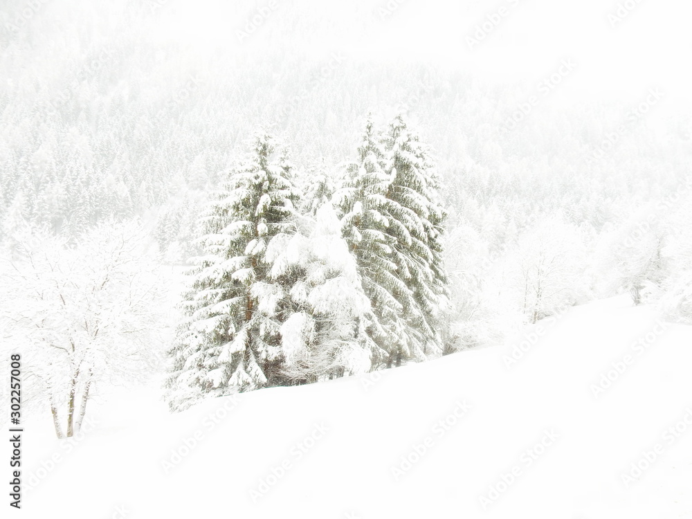 Fototapeta premium nevica