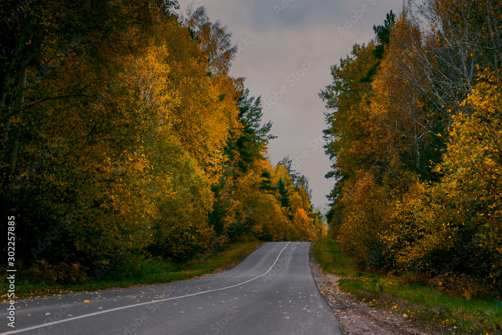 Fototapeta premium Autumn asphalt road