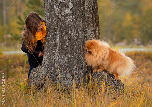 girl and red furry Pomeranian play hide and seek