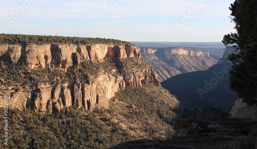 canyon in Mesa Verde National Park