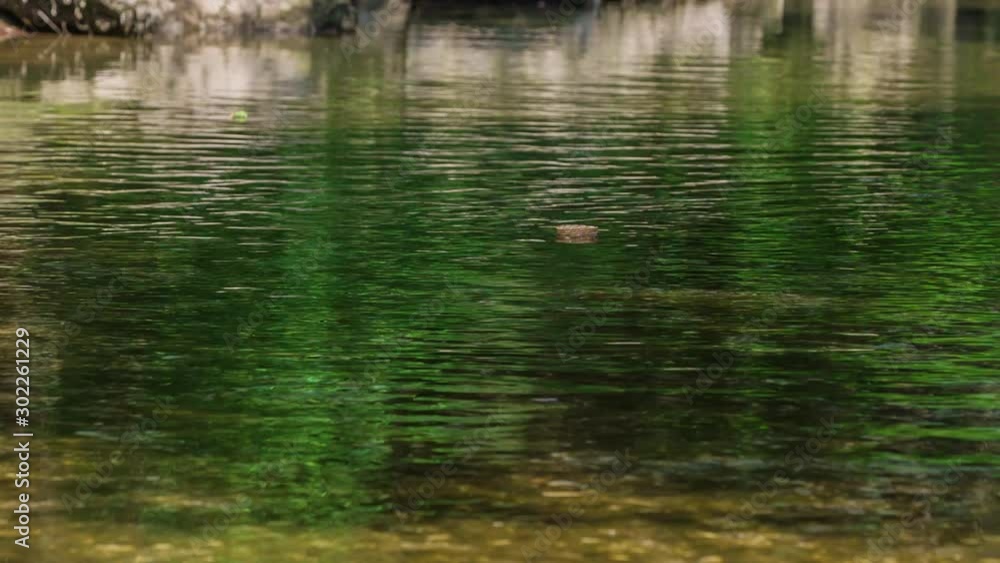 Water looks nice and there is a small piece of wood swimming on the surface of the water. Water looks nice and there is a small piece of wood swimming on the surface of the water.