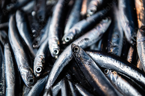 Alici fresche di Cetara I