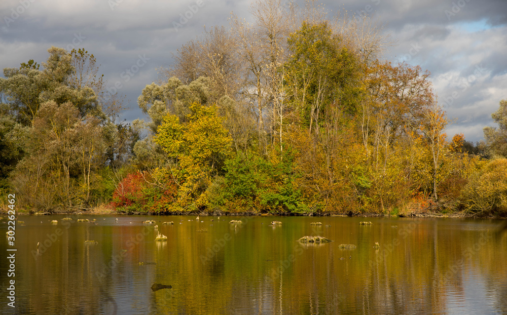 Herbst im Naturschutzgebiet Taubergiessen Herbst im Naturschutzgebiet Taubergiessen
