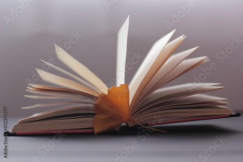 Closeup of a book with dry leaves around it. Concept of reading in autumn.