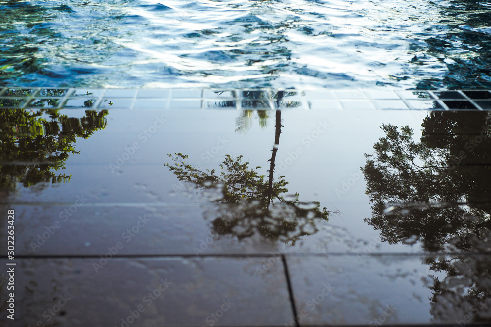Abstract texture and background at the edge of swimming pool with reflection of tree on wet surface floor Abstract texture and background at the edge of swimming pool with reflection of tree on wet surface floor