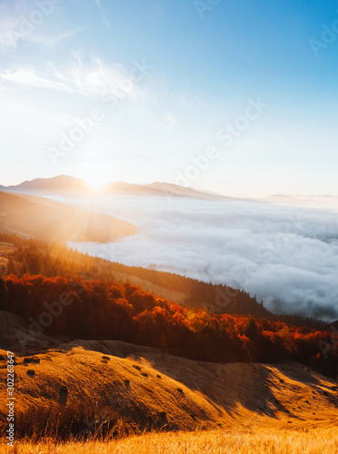 Perfect moment in alpine highlands. Location Carpathian, Ukraine, Europe.