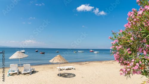 Fototapeta Naklejka Na Ścianę i Meble -  Beach of Erdek with beach umbrellas and pink flowers with a view of Marmara sea