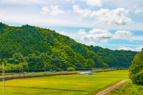 Rice fields scenery along the Yura River flowing through Maizuru, Kyoto, Japan photo