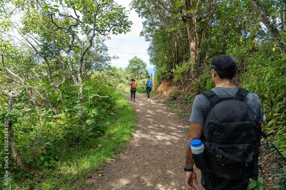 Hiking in Hawaii forest