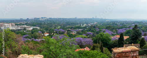 Aerial view of Johannesburg with green parks and Jacaranda trees, South Africa.