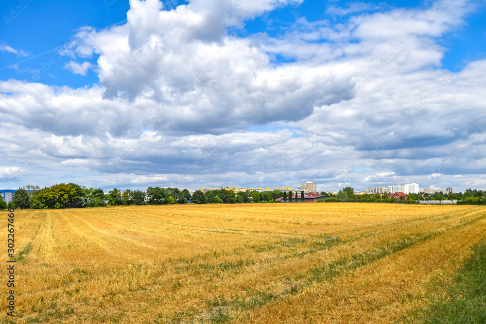 View over golden harvested fields to trees and buildings on the horizon under a blue and cloudy sky in Berlin, Germany.