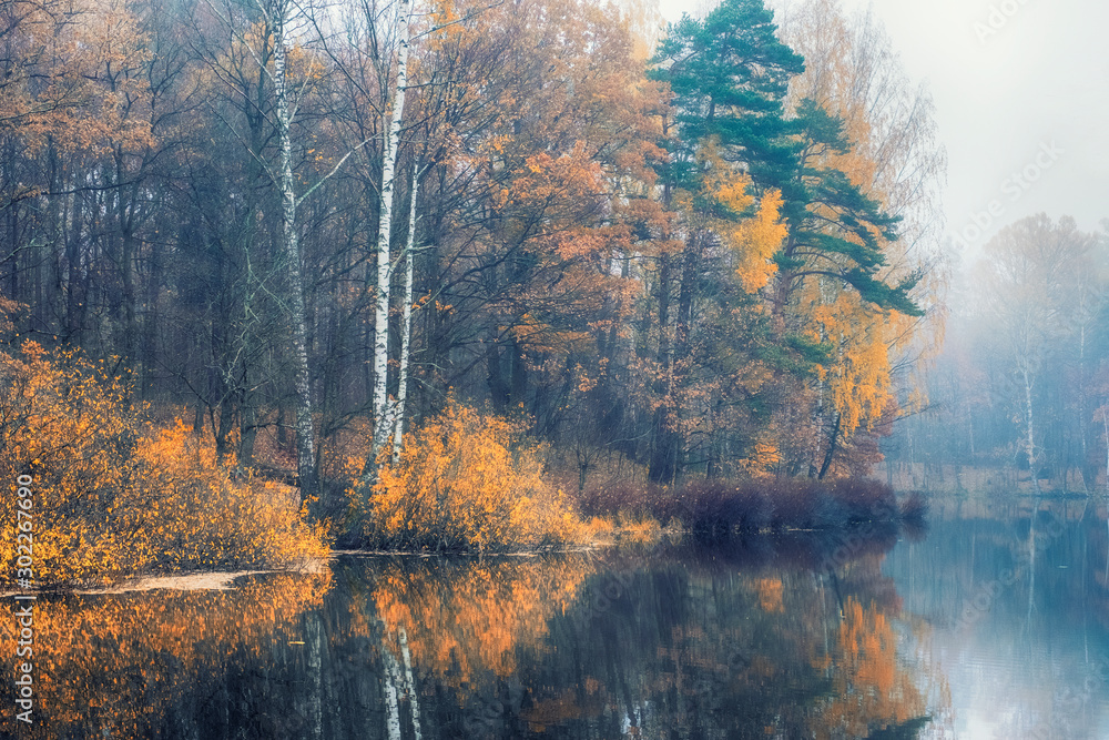 autumn forest by the lake in a foggy haze