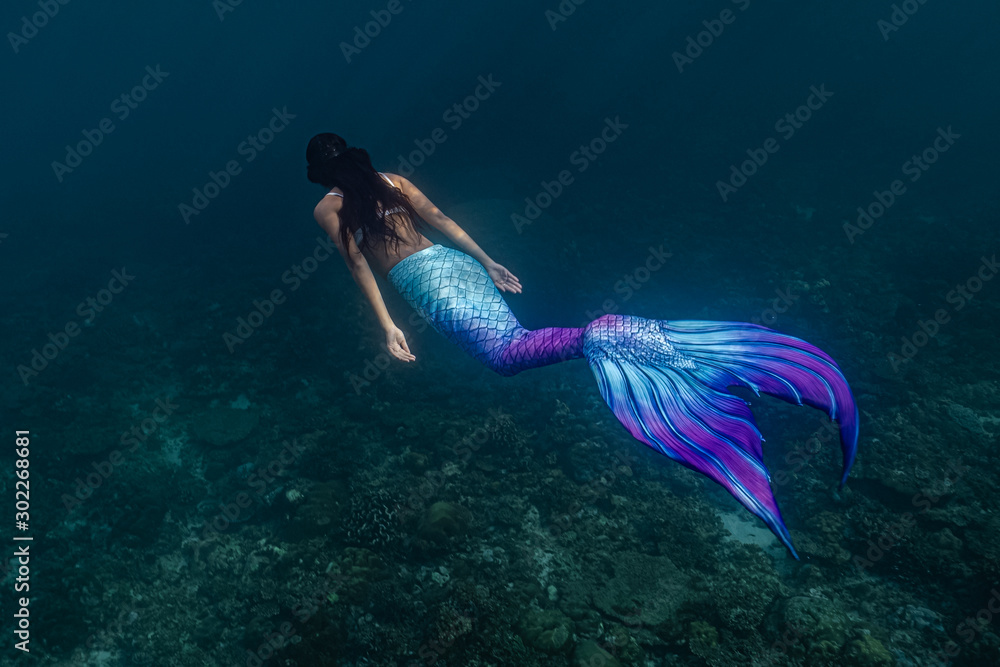 Young female free diver swims underwater in a colorful and sexy mermaid  costume. Stock Photo | Adobe Stock