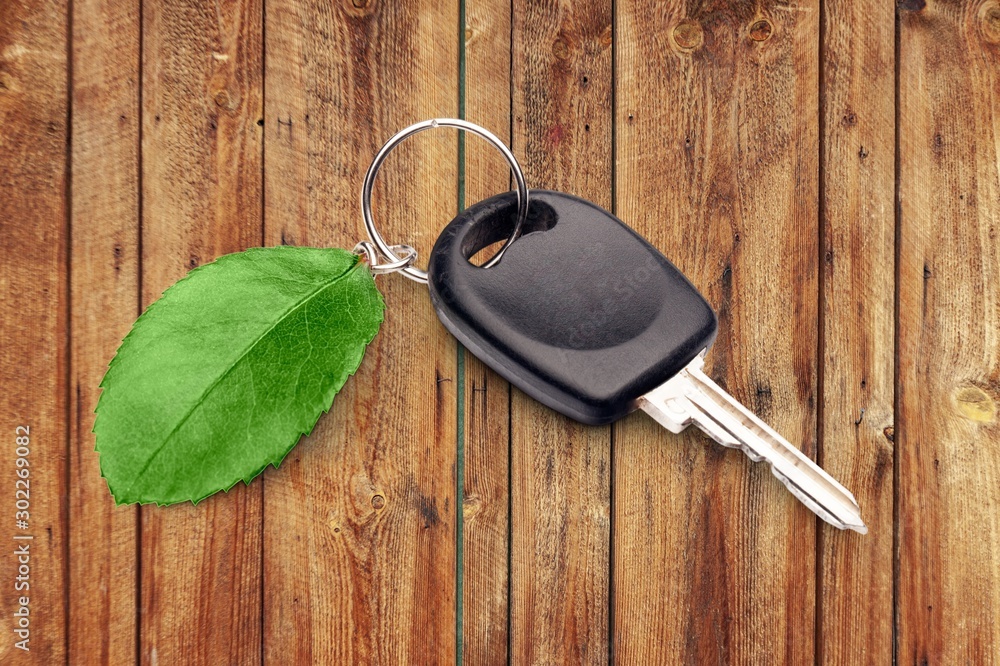 Green car key. Stock Photo Adobe Stock