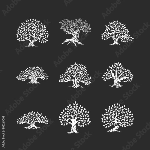 Beautiful magnificent olive tree silhouette icon set isolated on black. Modern virgin natural plant vector sign collection. Premium quality illustration organic ecological logo design emblem bundle.
